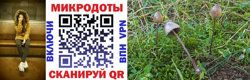 Галлюциногенные грибы мухоморы  Верхняя Тура 